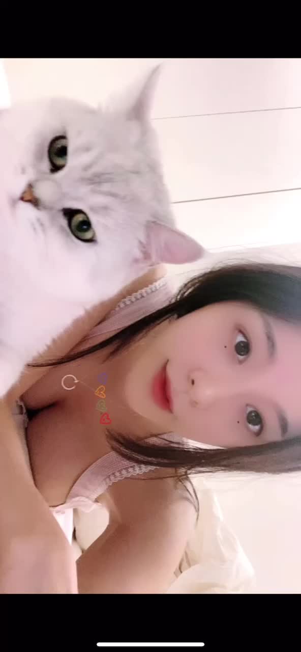 【谷間がセクシーな激カワ美女と猫】고양이 좋아해!? 고양이이름 모게🐱맞추면 선물😆