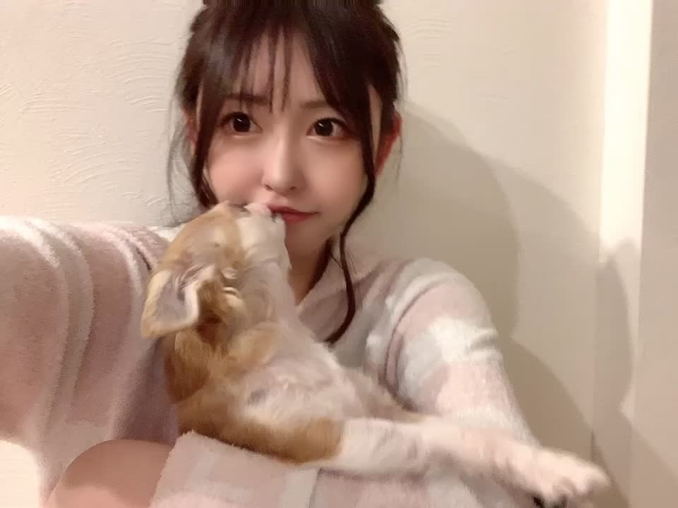 【激カワ！】【rinka】とにかく可愛い🥰♥️#ちわわ#チワワ#愛犬#犬のいる生活 #犬#キャバ嬢#ホステス#グラビア#グラドル#アイドル#すすきの#わんこ#japanesegirl 