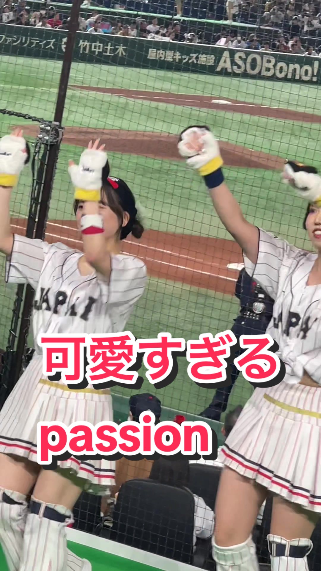 【キレキレダンスのチアリーダーたち】可愛すぎるpassion #ヤクルトスワローズ