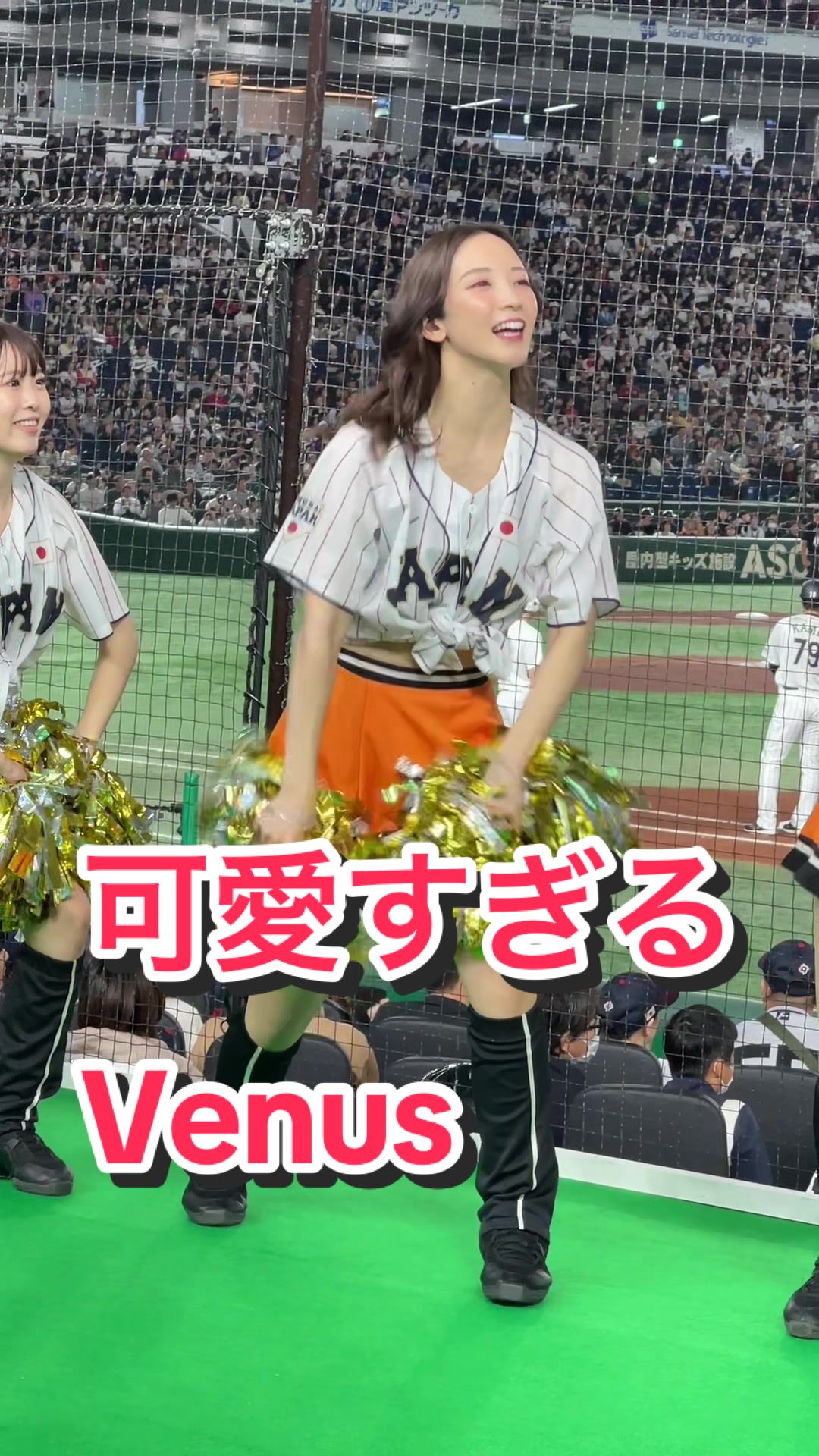 【超絶美人な美形チアリーダー】可愛すぎるVenus #ジャイアンツ #侍ジャパン