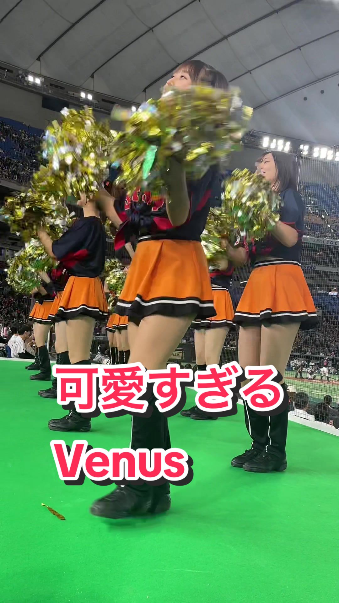 【むちむちな太ももが可愛いチアリーダー】可愛すぎるVenus #ジャイアンツ #侍ジャパン 