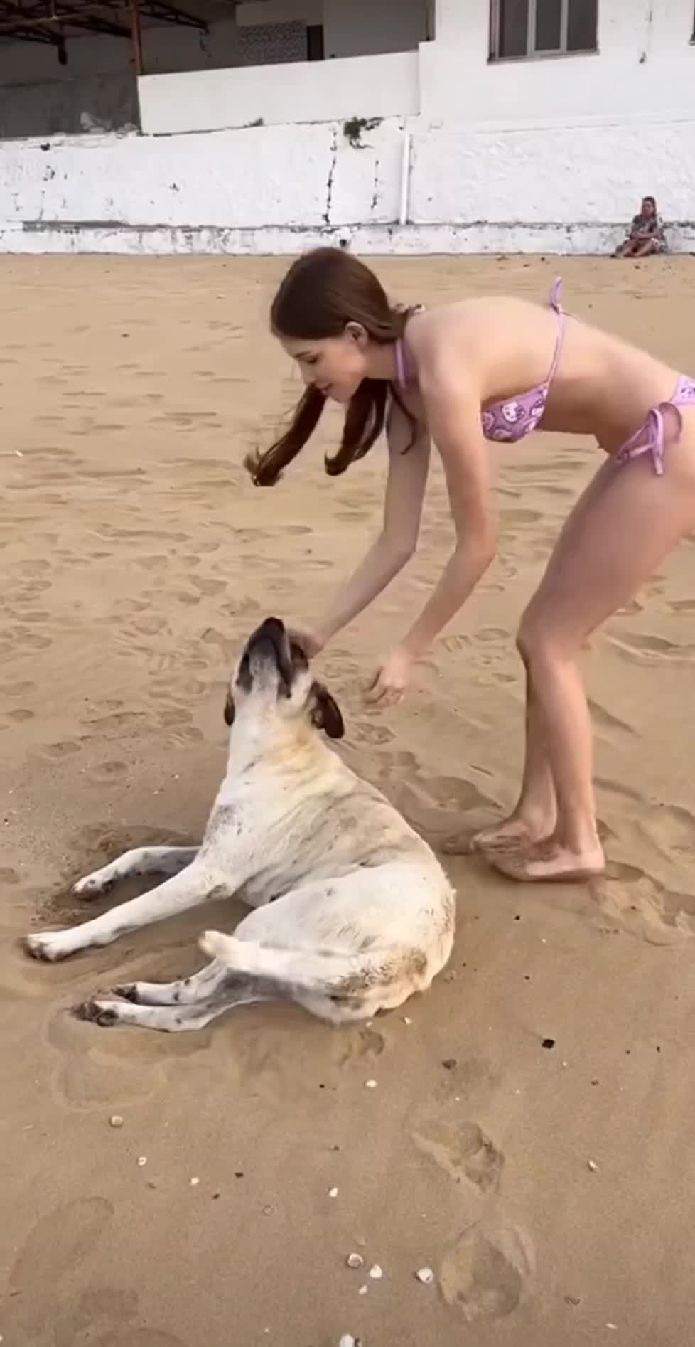 【浜辺で犬と戯れる超絶美人なビキニ美女！後ろ姿がたまりません！】