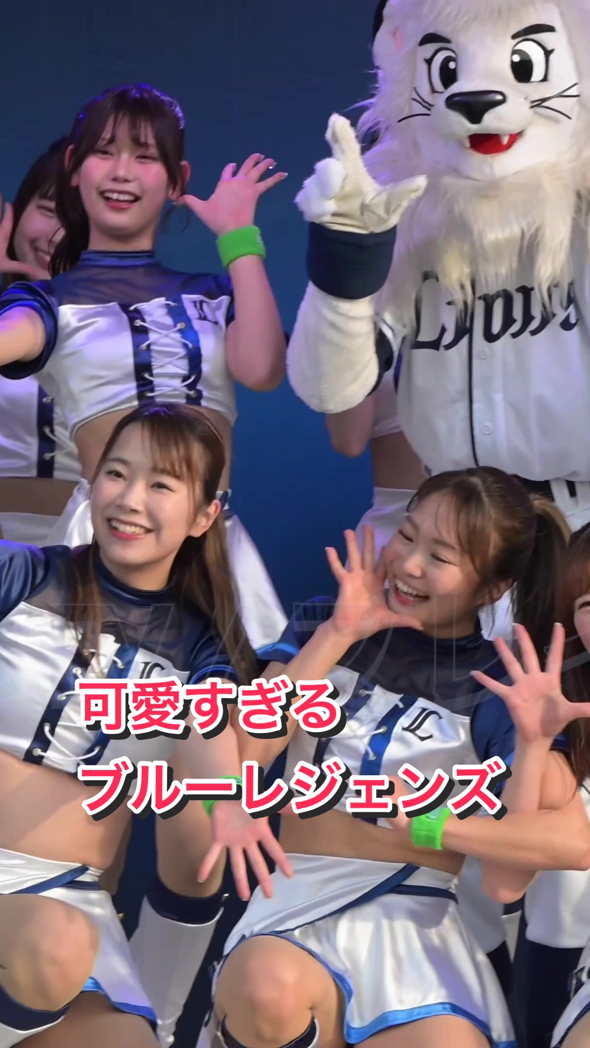 【めっちゃ可愛いチアリーダー】可愛すぎるブルーレジェンズ #kawaii #ブレイブtv #bravetv #japanesegirl #cheerleader #ライオンズ 